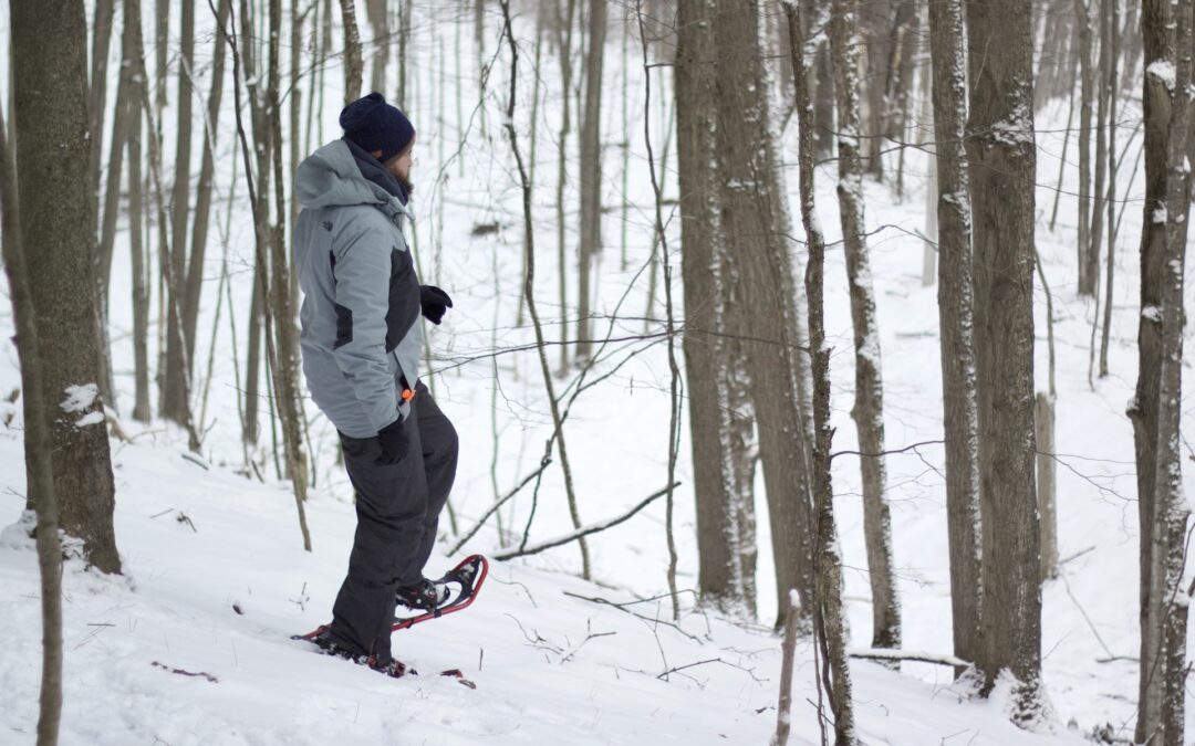 The Art of Snowshoe Maintenance: A Guide