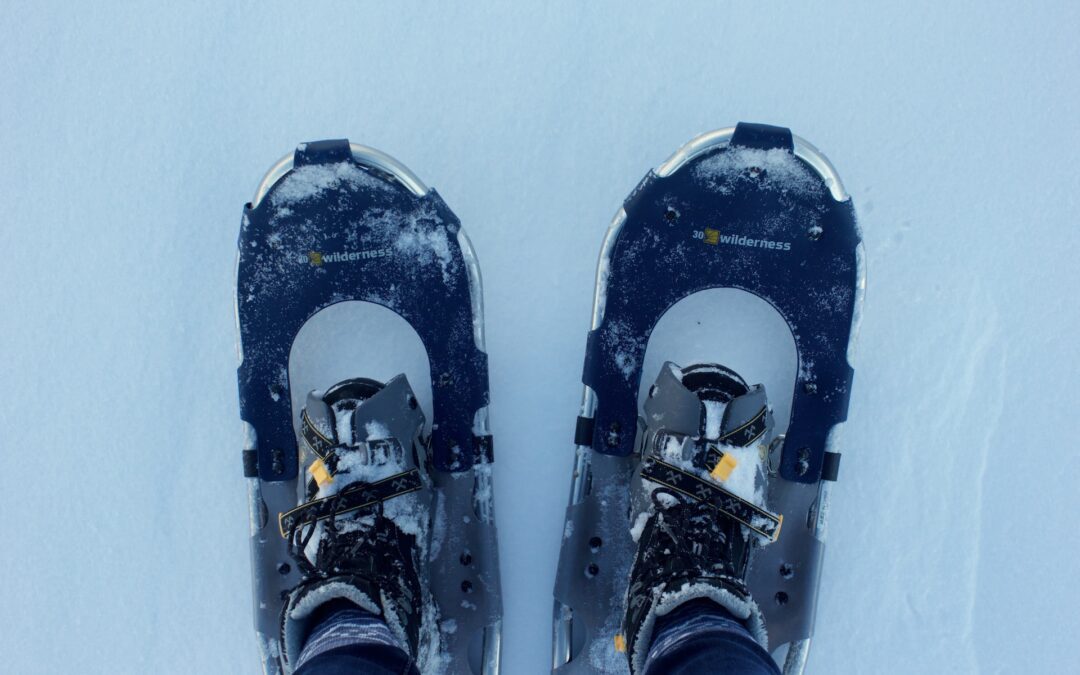 Exploring the World of Snowshoe Materials